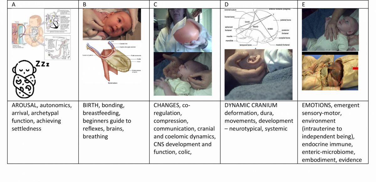 Paediatrics - CPD version - lectures / practicals in person, no ...