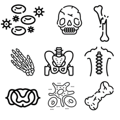 bone icon group